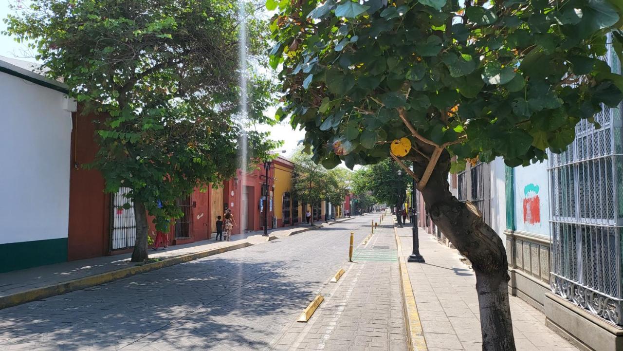 דירות Oaxaca Departments Independencia מראה חיצוני תמונה